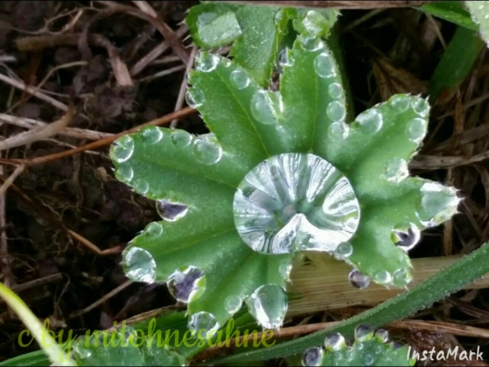 wp-1444117431397 image